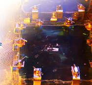 Special lab for advanced process of yellow light zone